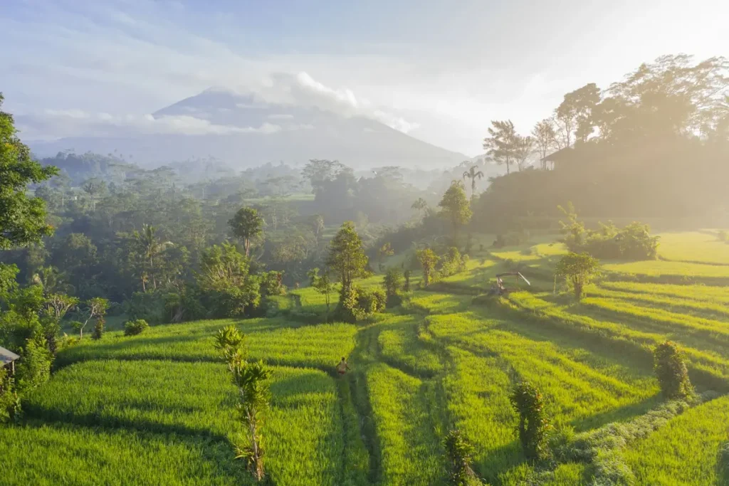 Bali rice terraces, 2026 KITAS application guide
